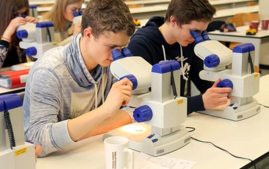 Rheinland-pfälzische Olympioniken der 28. Internationalen Biologie-Olympiade experimentieren an der TU Kaiserslautern