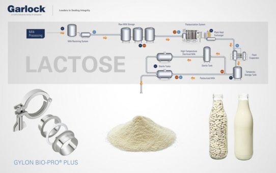 Anforderungen an die Dichtungen bei der Herstellung von Lactose für die Pharmaindustrie