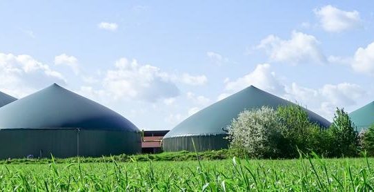 Flex-Erträge für Biogasanlagen im Höhenflug