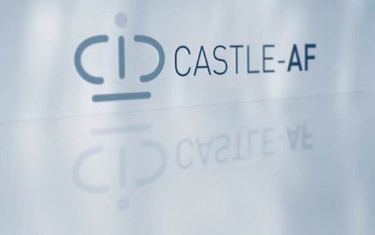 CASTLE-AF Studie könnte Katheterablation als Standardverfahren für Herzinsuffizienzpatienten mit Vorhofflimmern etablieren