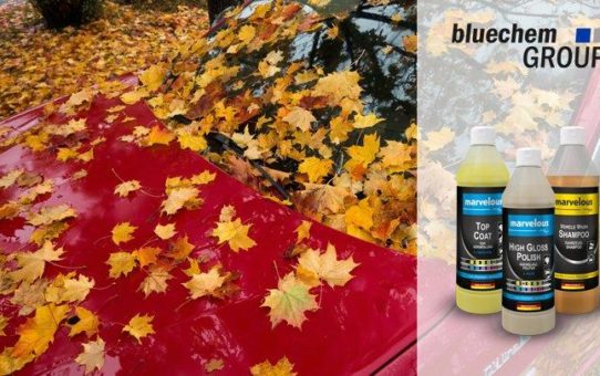 Lackschäden durch nasses Herbstlaub - Eingebrannte Blattstrukturen auf Fahrzeugoberflächen