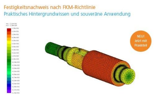 Festigkeitsnachweis nach FKM-Richtlinie