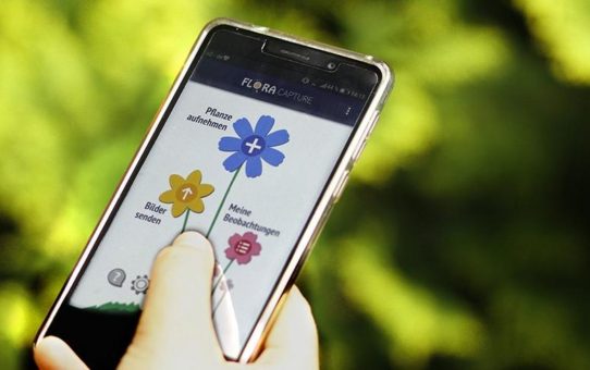 "Flora Incognita" - Pflanzenbestimmung mit dem Smartphone