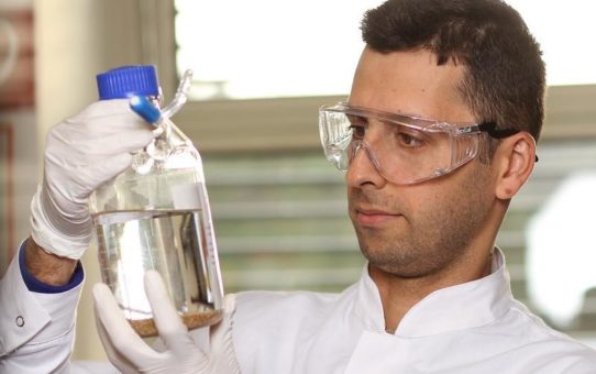Humboldt-Stipendiat entwickelt neuartige Katalysatoren für chemische Reaktionen