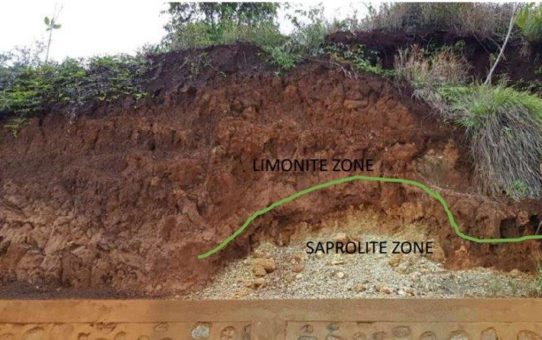 Pacific Rim Cobalt: Für die Zukunft vorgesorgt