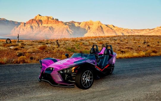 3M baut Angebot an Print Wrap Folien weiter aus