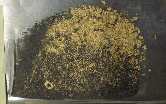 Orinoco Gold: Spektakuläre Entdeckung in Brasilien