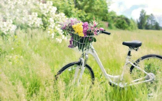 Durch eine Versiegelung mit Nanopolymeren  bleibt das Fahrrad länger sauber