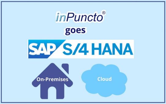 SAP S/4HANA: inPuncto Add-ons lauffähig auf der neuen Suite