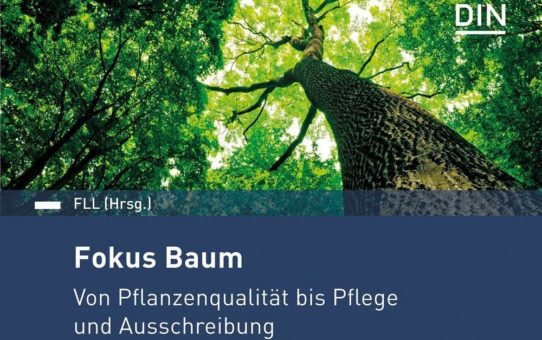 Regeln rund um den Baum