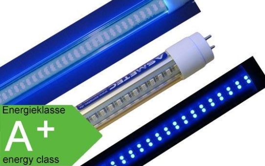 LED Blaulicht Röhren gegen Schimmelbildung