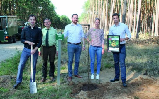 50 000. Baum im Piepenbrock-Forst gepflanzt