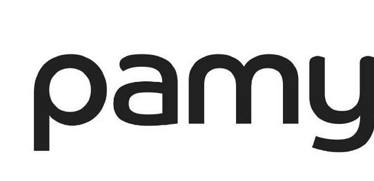 Das Logistik Start-up Pamyra.de hat seine Seed Finanzierungsrunde erfolgreich abgeschlossen und fährt siebenstelligen Betrag ein