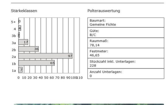 Fotooptische Poltererfassung: PolterMAX-Familie der GDD-IT GmbH
