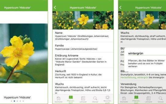 ORBIT entwickelt Lern-App für die Azubis im Garten- und Landschaftsbau