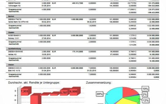 Effiziente Vermögensverwaltung auf professionellem Niveau