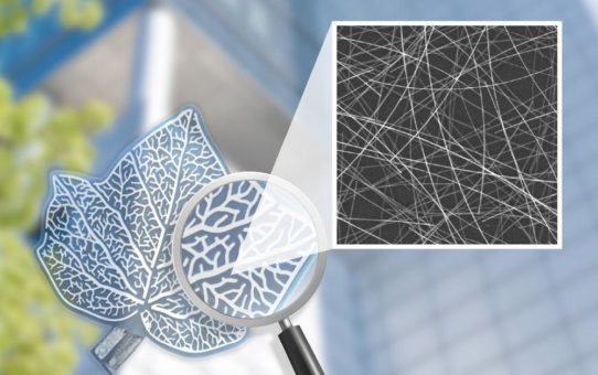 OPVIUS' einzigartiges OPV-Herstellungsverfahren anwendbar auf Nanodrahtbeschichtete, flexible Substrate von Cambrios