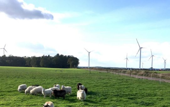 Prokon eG nimmt mit Fleetmark II den fünften Windpark in 2017 in Betrieb