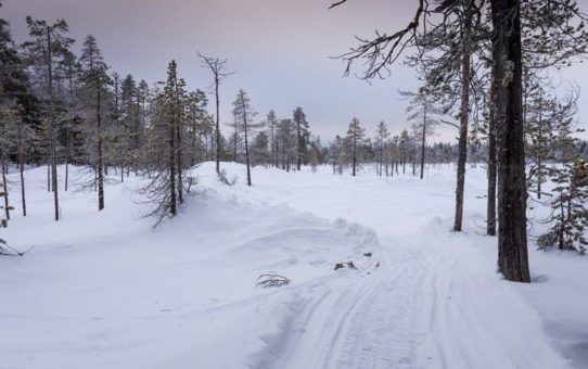 Mawson Resources: Große Spannung in Finnland