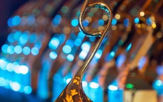 SSI Schäfer gewinnt in der Kategorie: "Supply Chain Transformation of the Year (Projects)"