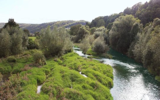 Auf Wanderschaft an den „Lebendigen Flüssen“ – KYOCERA publiziert NATOUR-GUIDE