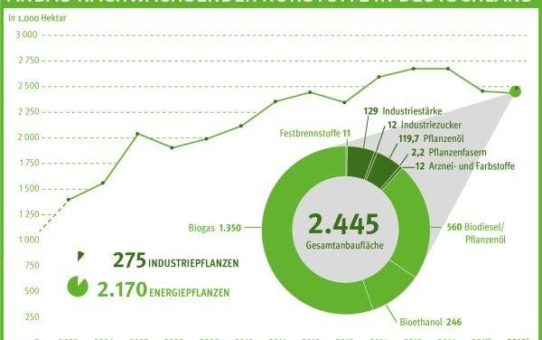 Anbau nachwachsender Rohstoffe in Deutschland: Rapsanbau für Biodiesel geht zurück