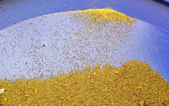 Mawson Resources: Neuentdeckung auf Gold- und Kobaltprojekt Rajapalot