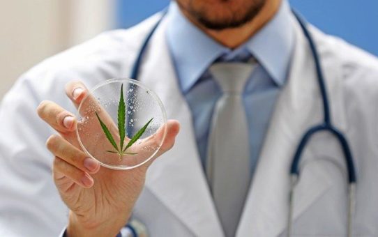 Gewaltiges, globales Potenzial für Medizinalcannabis