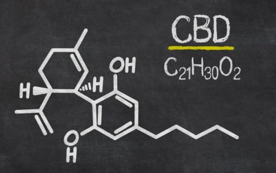 Neue Studie: CBD hilfreich bei Behandlung von Opioidabhängigkeit