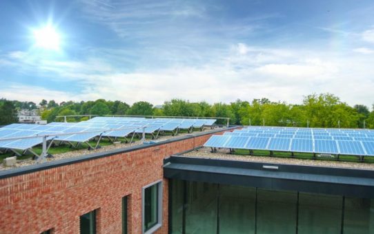 Photovoltaik und Gründach – eine zukunftsweisende Kombination