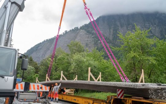 Ein Brücke lernt fliegen