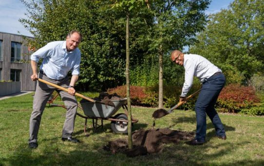 #Einheitsbuddeln – Prokon spendet 260 Bäume und ruft zur Teilnahme auf