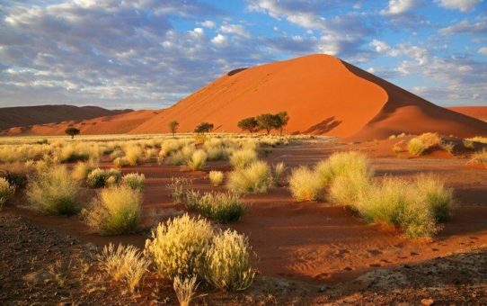 Osino Resources: Wird Twin Hills zu einem neuen Golddistrikt in Namibia?