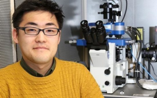 Untersuchung von Mechanotransduktionsmechanismen mit dem JPK NanoWizard® Rasterkraftmikroskop an der Universität Kyoto, Japan