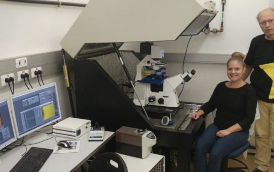 Untersuchung von Retroviren mit dem JPK NanoWizard® ULTRA Speed Rasterkraftmikroskop an der Ben-Gurion Universität in Israel