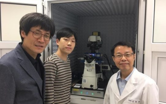 Untersuchung der Bindung des Transkriptionsfaktors Sox2 an Super-Enhancer mit dem JPK NanoWizard® ULTRA Speed Rasterkraftmikroskop an der Sungkyunkwan Universität (SKKU) in Suwon, Südkorea