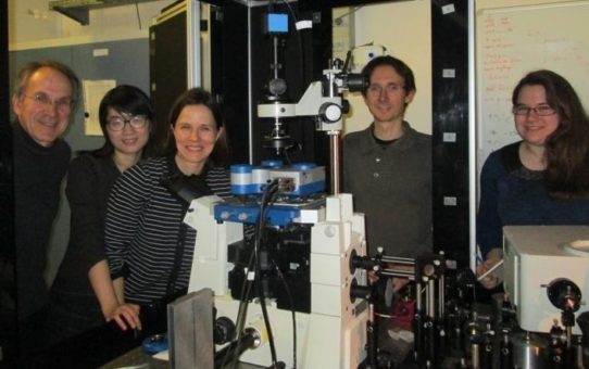 Untersuchung von Oberflächenplasmonen mit dem JPK Rastertunnel-mikroskop am Institut des Sciences Moléculaires d'Orsay, Paris