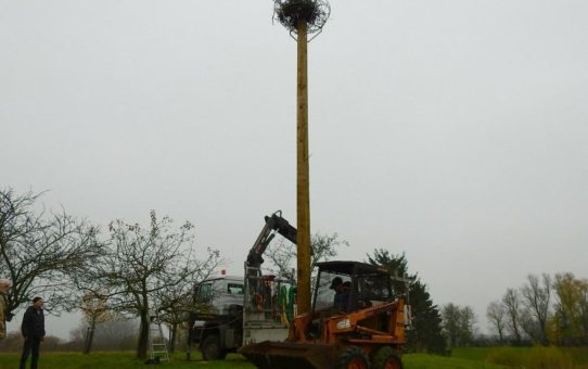 Gemeinsames Projekt