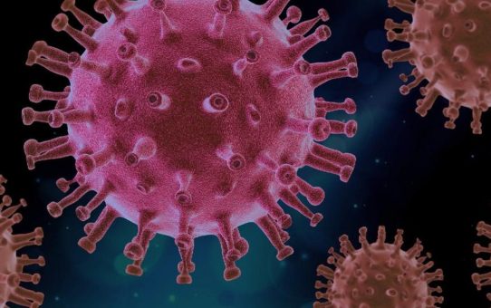 Fachlabor Dr. Pachmann in Bayreuth unterstützt offiziell Gesundheitsämter und Hausärzte bei Testung auf Coronavirus SARS-CoV-2
