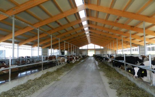 Marktlücke: FABRINO stellt Hochleistungsfaser für den Agrarbereich vor