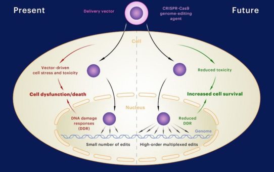 Harvards Wyss Institute schließt sich mit Cytosurge zusammen, um die CRISPR-basierte Multiplex-Gen-Editierung zu verbessern