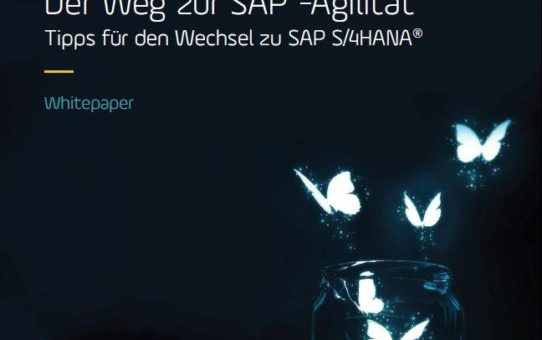 Panaya zeigt in neuem Whitepaper den Weg zu SAP-Agilität und gibt Tipps für die Implementierung von SAP S/4HANA