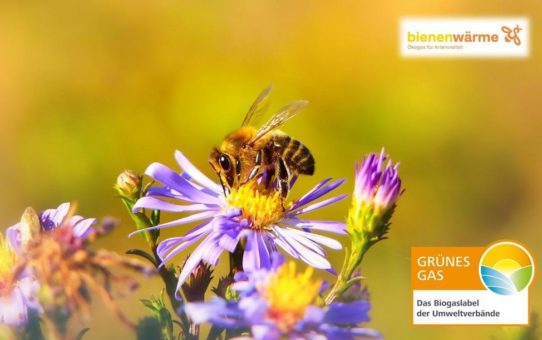 Bienenwärme - ausgezeichnet mit dem Grünes Gas-Label