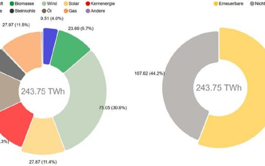 Nettostromerzeugung im 1. Halbjahr 2020: Rekordanteil erneuerbarer Energien von 55,8 Prozent