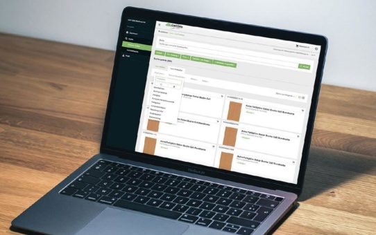 Carl Götz Unternehmensgruppe: Digitalisierung im Holzhandel