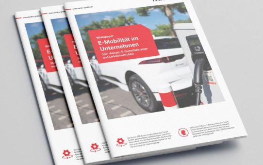 Whitepaper: 360°-Ansatz für E-Mobilität in kommunalen Unternehmen