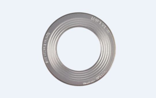 Egraflex Steelflon Waveline WLP® Multilayer-Flachdichtung mit großem Potential