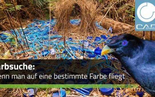 Jetzt kommt Farbe ins Spiel - Mit der Farbsuche innerhalb PARTsolutions Komponenten finden