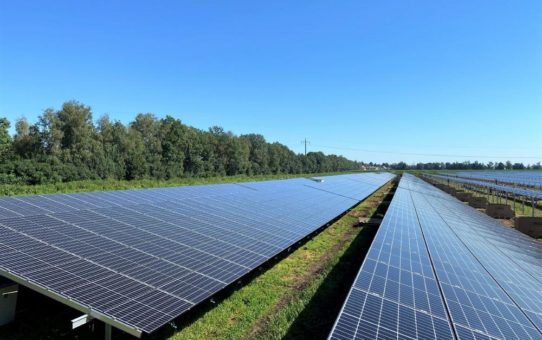 NATURSTROM AG liefert förderfreien Sonnenstrom aus 50-MWp-Solarpark