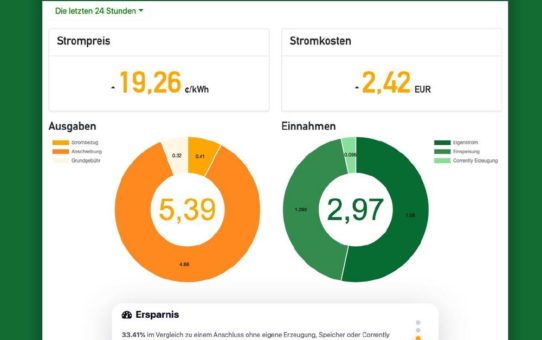 Stromdao GmbH gewinnt Delfine Projekt